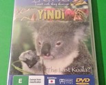 Yindi :The Last Koala - Grainger&#39;s World Travels With Greg Grainger - DV... - $27.89