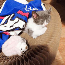 Item image 7