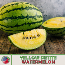 10 Seeds Yellow Petite Watermelon Heirloom Speed Planting Garden Beauty Fast - $8.35