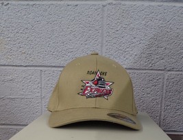 Flexfit ECHL Hockey Roanoke Express Embroidered Hat Ball Cap New - £21.23 GBP