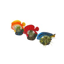 Resin Tropical Fish Air Plant Sculpture Tillandsia Planted in Hand Made Art Asso - £33.34 GBP
