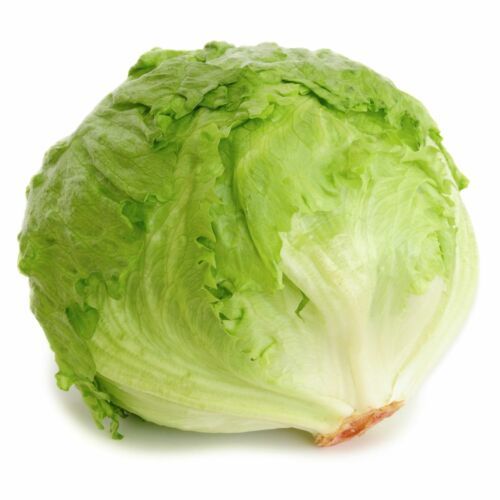 MBK Iceberg Lettuce Seeds 400 Seeds Non-Gmo Seed Store 1104 Fresh Garden - $8.79