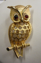 Vintage Avon Owlette Pin Gold tone with Red Rhinestones Eyes New in Box ... - $368.72 MXN