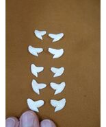 SW-1-N-2-51 Wholesale 10 (5left/right) 5/8&quot; modern Tiger Shark T**th DIY... - $496.68 MXN