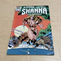 Marvel Comics Shanna The Savage Issue #22 Comic Book Kazar the Savage KG - $9.89