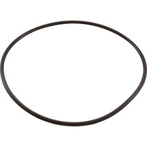 Hayward CX900F Filter Head O-Ring for Hayward Star-Clear C1200 Cartridge... - $19.50 CAD