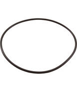 Hayward CX900F Filter Head O-Ring for Hayward Star-Clear C1200 Cartridge... - €11,92 EUR