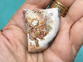 Mexico Noriega Crazy Lace Agate Freeform 40x34 mm Cabochon Gemstone for Jewelry - $47.00