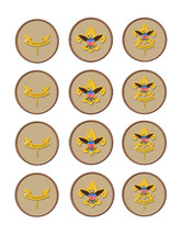 Boy Scout edible party cupcake toppers decoration frosting toppers 12/sheet - £7.96 GBP