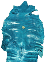 Genuine Crocodile Skin Hide Leather Belly Glazed Turquoise 120cm x 32.5cm - $4,547.08 MXN