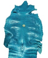 Genuine Crocodile Skin Hide Leather Belly Glazed Turquoise 120cm x 32.5cm - $4,521.15 MXN