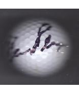 Signed GARY PLAYER Autographed Golf Ball PGA - €48,21 EUR