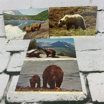Postcard Lot Of 4 Bears Grizzly Brown Bear Spring Cub - $9.89