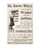 Wales Jelly Preserves 1897 Advertisement Victorian Massachusetts ADBN1A9 - €8,58 EUR