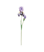 Iris Floral Stem (Set of 2) - $47.12