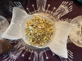 .5 oz Fennel Seed, Increase Vision of Past, Present and Future, Intuition - £1.11 GBP