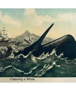 2000 Whaling Sperm Whale Capture Postcard Nautical Plastichrome CT E86RP4 - $364.42 MXN