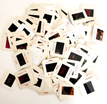 1980-90s Flowers Bulk Lot Of 135 Pcs 35mm Slides Plants Mushrooms Fungus... - $739.33 MXN