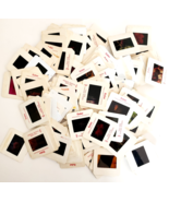 1980-90s Flowers Bulk Lot Of 135 Pcs 35mm Slides Plants Mushrooms Fungus... - $739.33 MXN