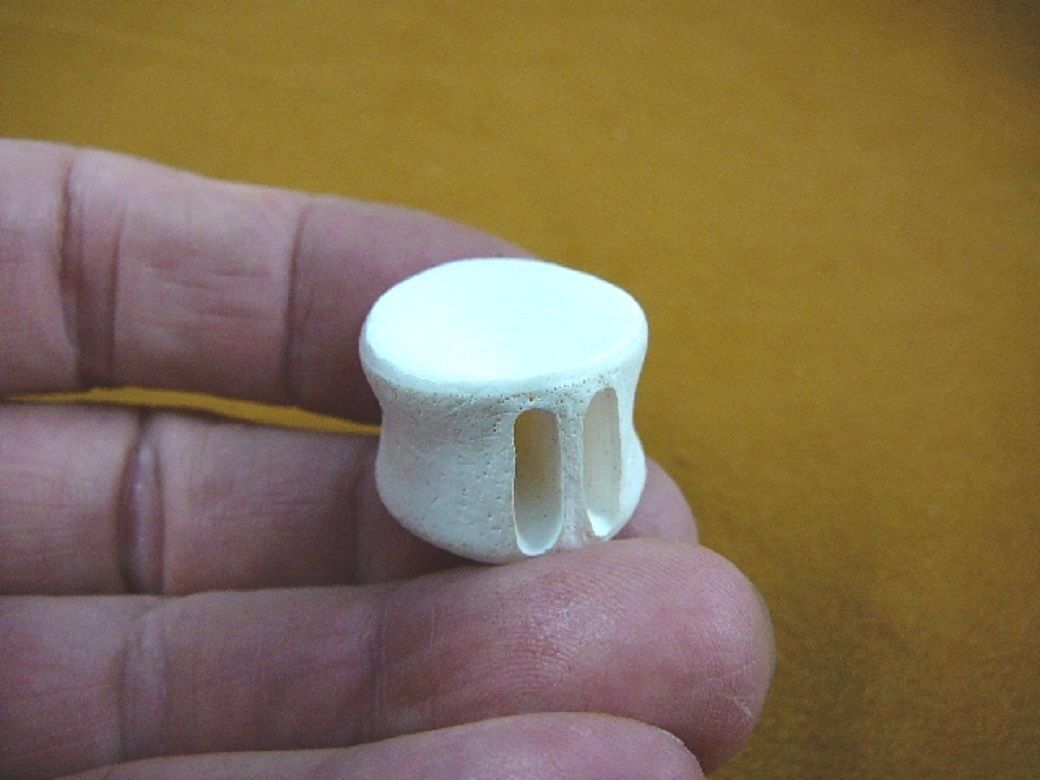 (s877-6) white modern Shark vertebrae back bone vert vertebrate I love s... - $10.39