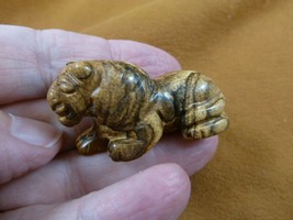 Y-LIO-RO-575) Tan Jasper ROARING LION gemstone carving figurine love lio... - $14.01
