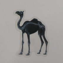 Camel X-Ray Transparent Sticker 2.38&quot; x 1.75&quot; (AJ) - $1.64
