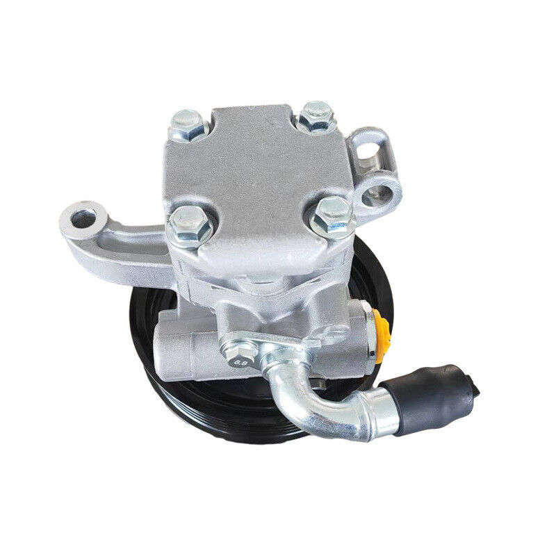 Power Steering Pump &amp;Pulley 20954812 For GMC Acadia Buick Enclave Saturn... - $86.57