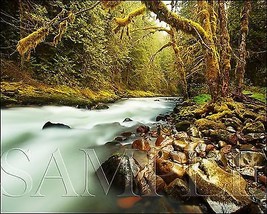 Creek Photograph 8X10 New Fine Art Color Print Picture Photo Nature Fore... - £6.01 GBP