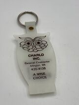 Vintage Glowing Owl Charlo Inc Arlington WA Promo Keychain Glow In Dark - $5.90