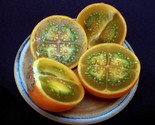 Lulo Orange Tree Solanum Quitoense Organic  10 Seeds - £7.22 GBP