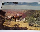 Grand Canyon Vista Lithograph Print No. 23A Vintage Litho In U.S.A 16&quot;X20&quot; - £31.63 GBP