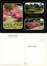 Georgia Jekyll Island Pink Yellow Red Flowers Ben Fortson Parkway VTG Postcard - £7.39 GBP