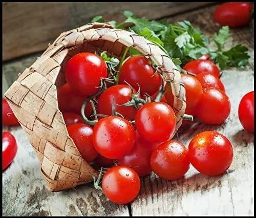 Cherry Tomato Seeds For Planting-300+ Seeds-Amazing Taste-Delicious Usa Seller - £20.39 GBP