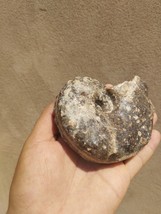 Item image 15
