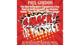 Smack! in the Face by Paul Gordon (gimmick and online instructions) - Trick - £21.32 GBP