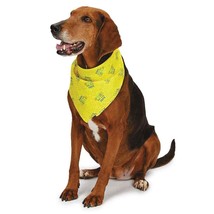 Aria Bark Its My Birthday Bandanas 1 count - £16.09 GBP