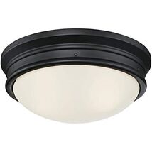 Westinghouse Lighting 6324100 Meadowbrook Two-Light Indoor Flush-Mount C... - $78.34 CAD