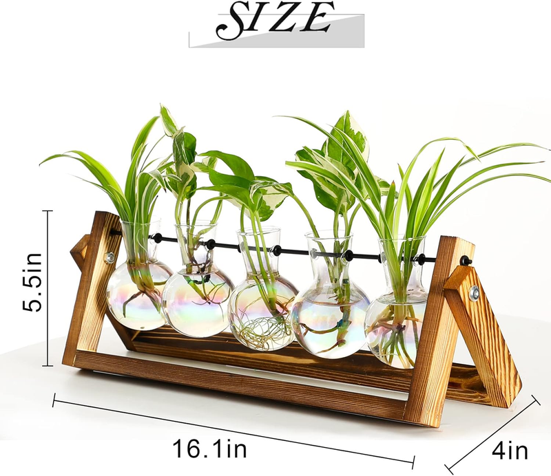 XXXFLOWER Plant Terrarium with Wooden Stand, Wall Hanging Glass Planter Tabletop Item image 2