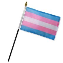 Transgender 4&quot;x 6&quot; Stick Flag - $2.73 CAD