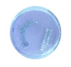 Bon Bons Eyeshadow Powder Purple - $2.99