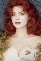 Tina Louise busty straw hat striking pin-up 18x24 Poster - $23.99