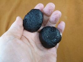 (x-348) set of 2 large Tektites TEKTITE from Impact 700,000 years ago sp... - $13.99