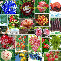 Hot Sales!!! Big Discount!!! 20 Kinds of Seeds, including Rose, Fruits, Goji, Co - £14.83 GBP