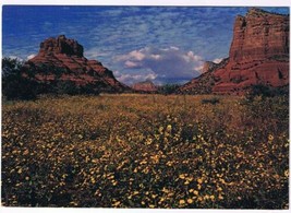 Arizona Postcard Sedona Bell &amp; Cathedral Rocks Oal Creek Canyon - £1.65 GBP