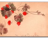 Dipinto a Mano Litchi Frutta Firmato Altezza Matsuake Unp Udb Cartolina Z5 - £13.68 GBP
