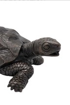 Steady Tortoise – Bronze Sculpture. 29x19x10cm - 0.8Kg - $410.64 CAD