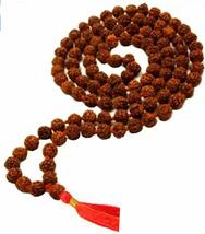 10mm Large Bodhi Seed NUT MALA Mantra Prayer Beads Buddhist Monk Necklace N39 - £13.43 GBP