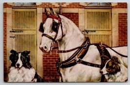 White Horse and Dogs The Three Roadsters Art Postcard D25 - £7.00 GBP