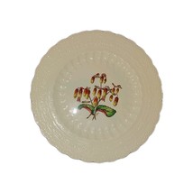 Spode Bermuda Flowers Life Plant 9 Inch Luncheon Plate - $521.73 MXN