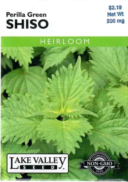 Shiso Perilla Green Heirloom Vegetable Seeds Non Gmo Lake Valley 12/24 Fresh New - £7.00 GBP